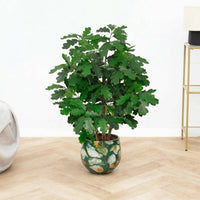 Kunst Oak tree - 90cm