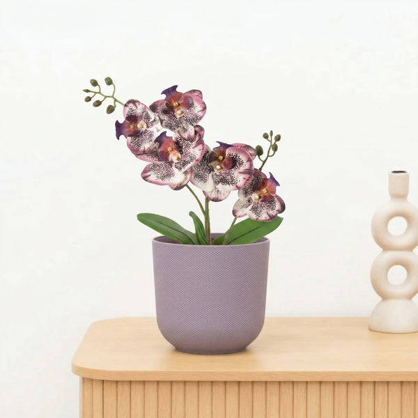 Kunst Phalaenopsis orchid purple - 41cm kopen bij Green Bubble