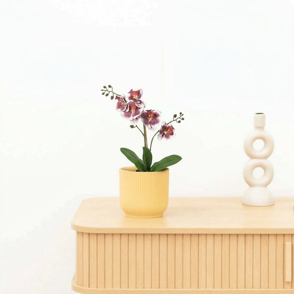 Kunst Phalaenopsis orchid violet white - 41cm kopen bij Green Bubble