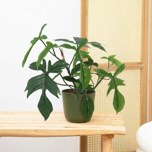 Kunst Philodendron Florida - 44cm kopen bij Green Bubble
