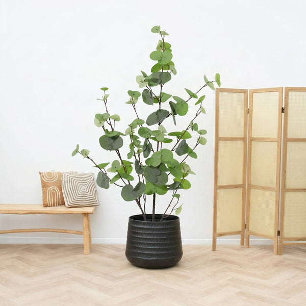 Kunst Eucalyptus green - 86cm kopen bij Green Bubble