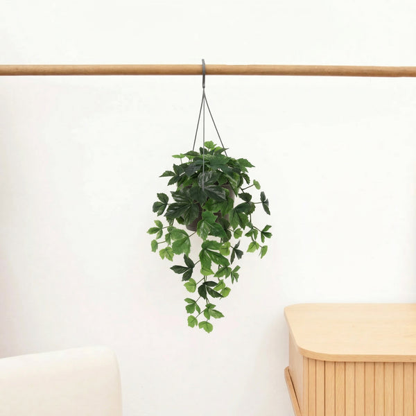 Kunst Ivy hanging - 48cm kopen bij Green Bubble