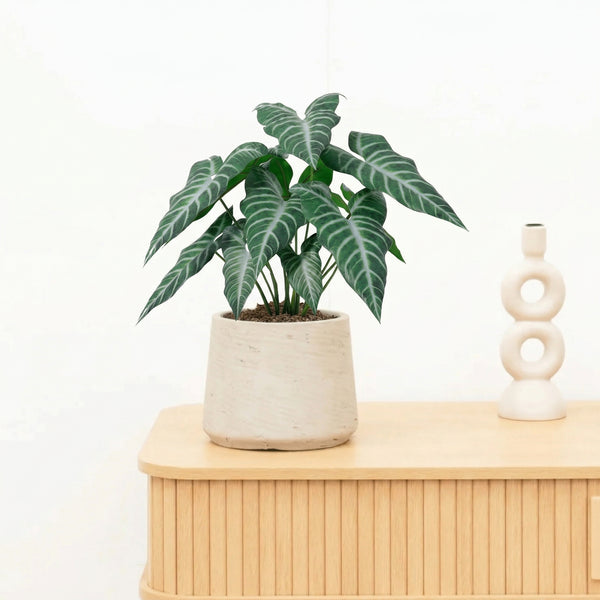 Kunst Alocasia polly - 49cm kopen bij Green Bubble