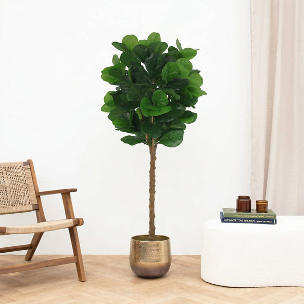 Kunst Ficus lyrata tree - 160cm kopen bij Green Bubble