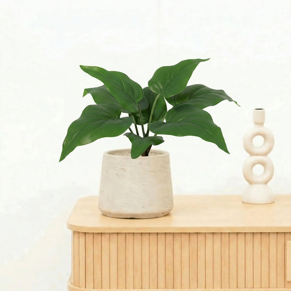 Kunst Philodendron Imperial Green - 25cm kopen bij Green Bubble