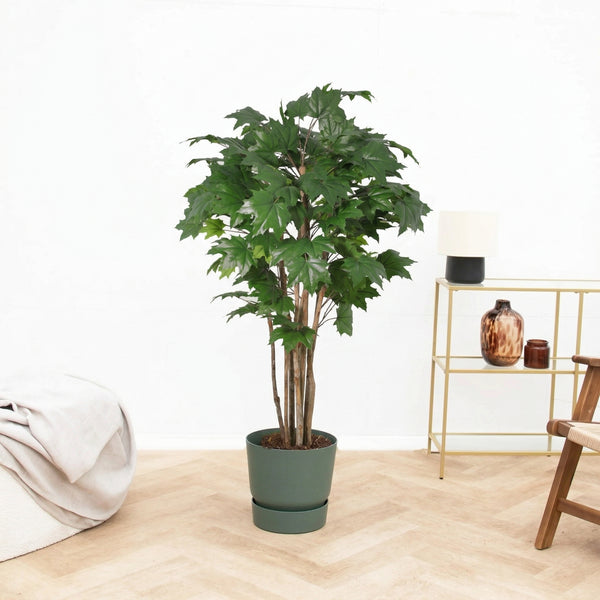 Kunst Oak tree - 170cm kopen bij Green Bubble