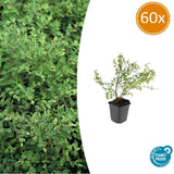 Product afbeelding 11