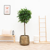 Product afbeelding 3