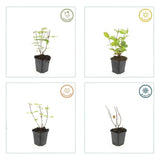 Product afbeelding 6