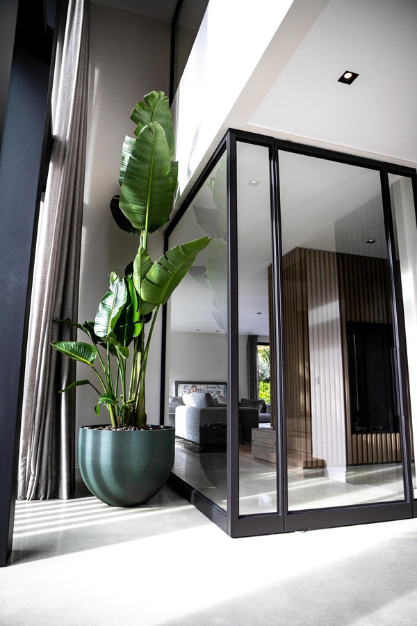 Jumbo Mila pine green kopen bij Green Bubble