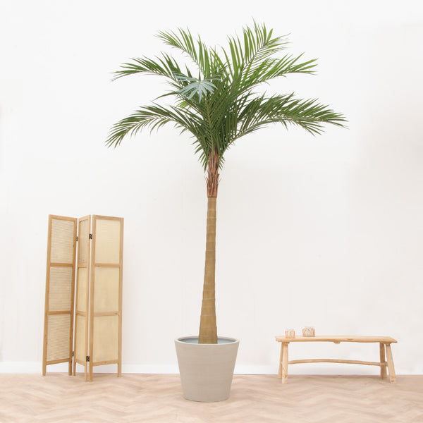 Kunstplant Phoenix Roebelenii - 300cm kopen bij Green Bubble