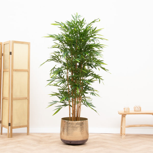 Plante artificielle bambou - 180cm kopen bij Green Bubble