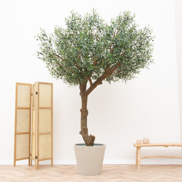 Kunstplant Olijfboom - 270cm kopen bij Green Bubble