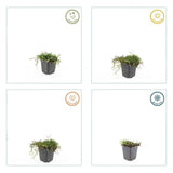 Product afbeelding 6