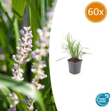 Product afbeelding 9