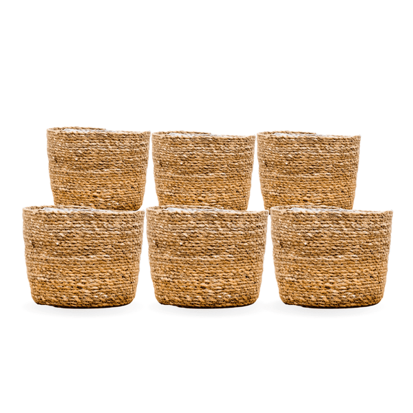 6x Mand Scott kopen bij Green Bubble
