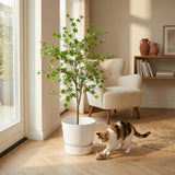 Product afbeelding 4