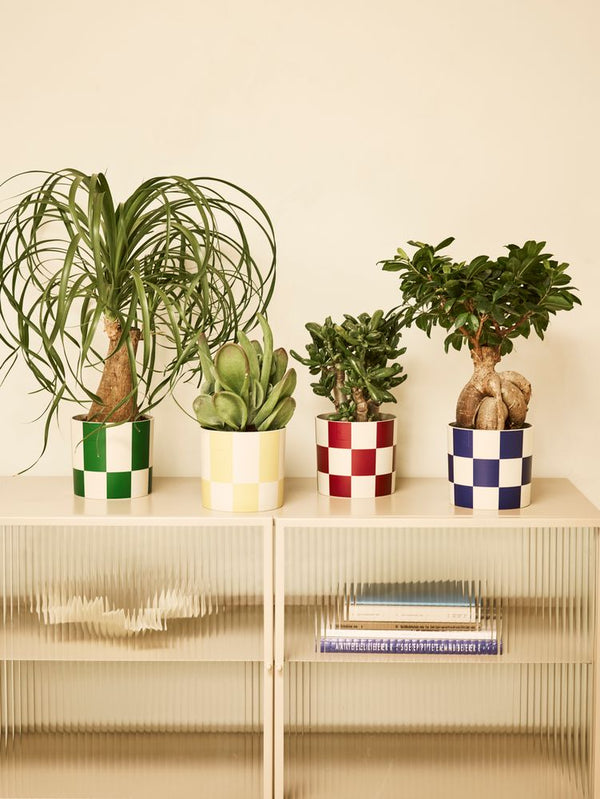 Potte Elho Blocks & Stripes grøn