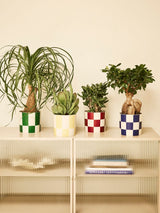 Pot Elho Blocks & Stripes groen
