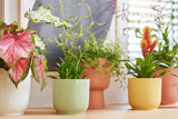 Pot Elho Vibes Fold Round Mini vert