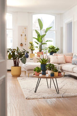 Pot Elho Vibes Fold Round Mini lila