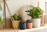 Pot Elho Vibes Fold Round Mini roze