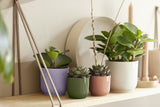 Pot Elho Vibes Fold Round Mini varengroen