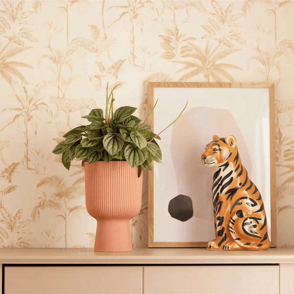 Pot Elho Vibes Fold Coupe roze kopen bij Green Bubble