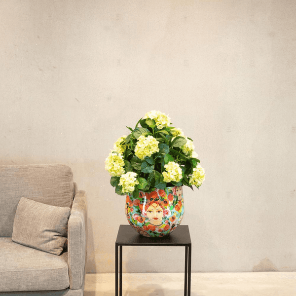 Pot Blooming Namaste kopen bij Green Bubble
