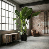Product afbeelding 4
