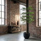 Product afbeelding 5