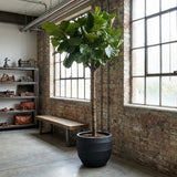 Product afbeelding 3