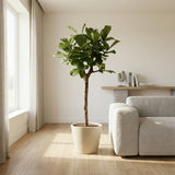 Product afbeelding 3