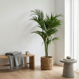 Product afbeelding 4