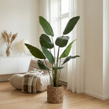 Product afbeelding 5