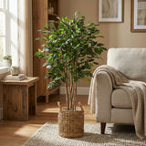 Product afbeelding 5