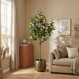 Product afbeelding 5