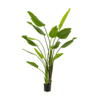 Strelitzia Nicolai Kunstplant - 180 cm