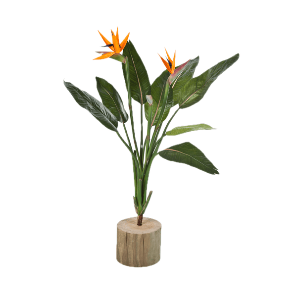 Strelitzia Reginae Kunstplant - 100 cm kopen bij Green Bubble