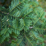 Product afbeelding 4