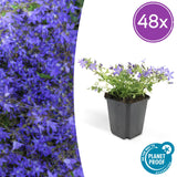 Product afbeelding 9