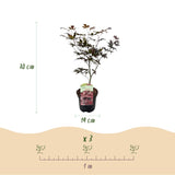 Product afbeelding 3