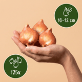 Product afbeelding 3