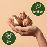 Product afbeelding 3