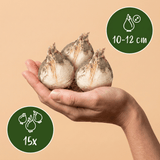 Product afbeelding 3