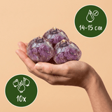 Product afbeelding 3