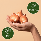 Product afbeelding 3