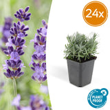 Product afbeelding 9