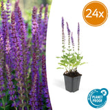 Product afbeelding 9