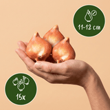 Product afbeelding 3